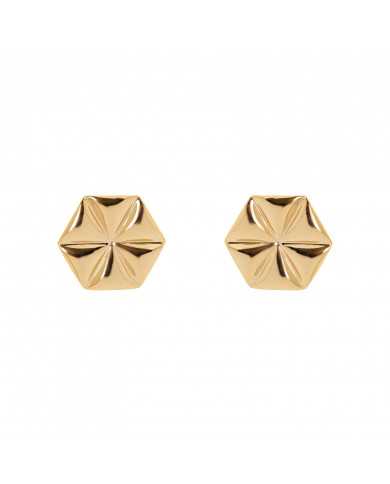 Pendientes Linaj Pendientes Linaj