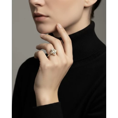 Anillo Seleneia Anillo Seleneia