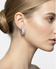 Pendientes Lira plateados Pendientes Lira plateados