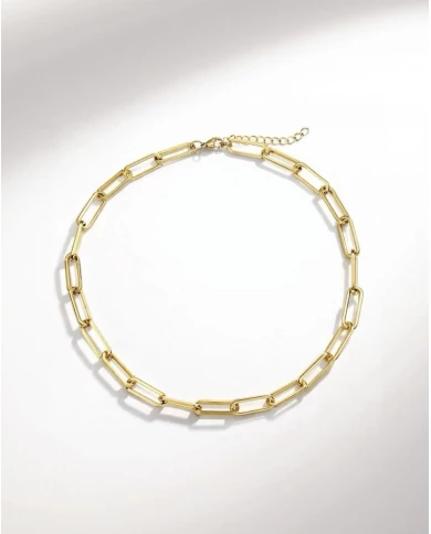 Collar aceroo dorado Fesla