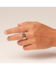 Anillo dorado de acero Vitto